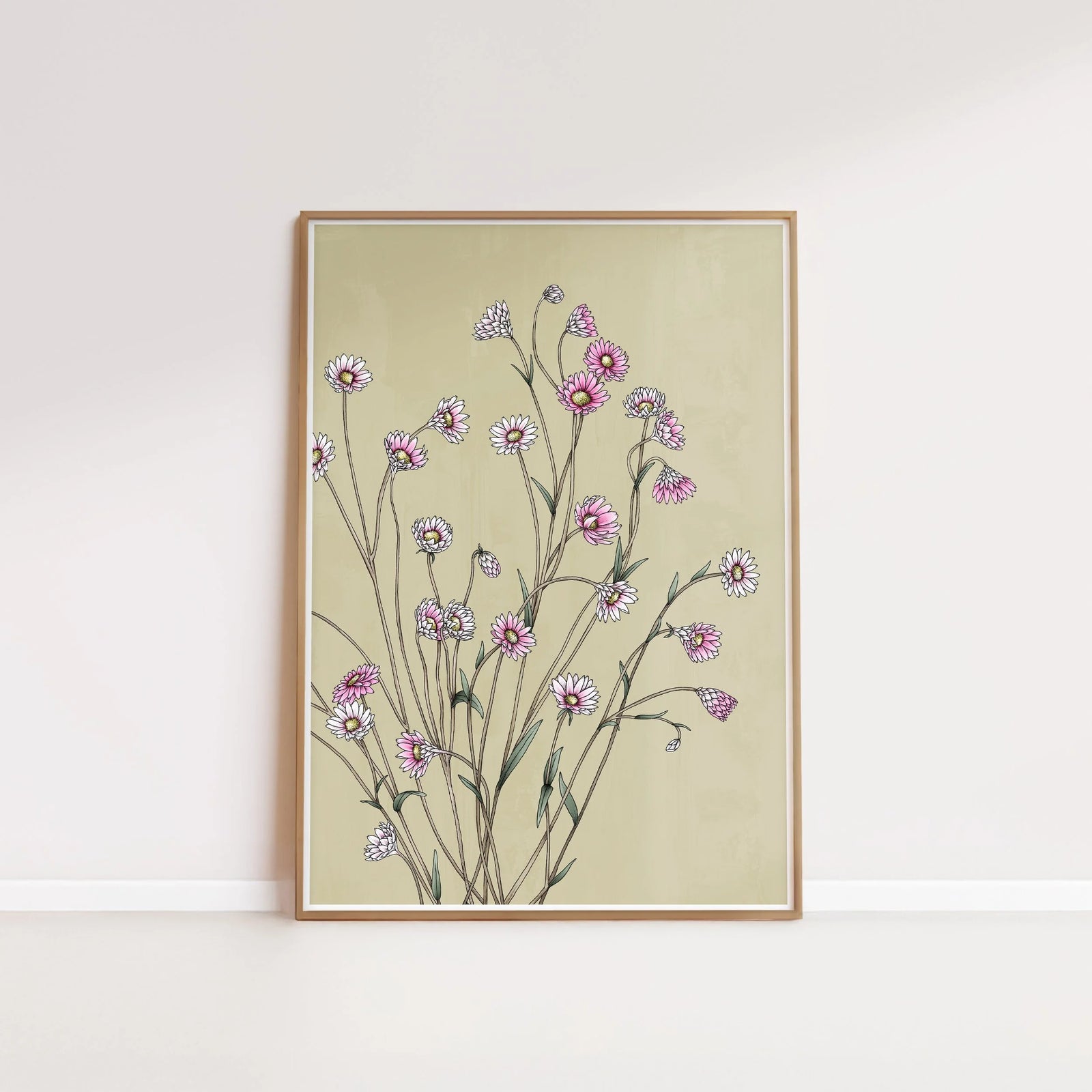 T2469_pink_sunray.jpg