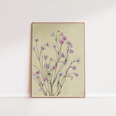 T2469_pink_sunray.jpg