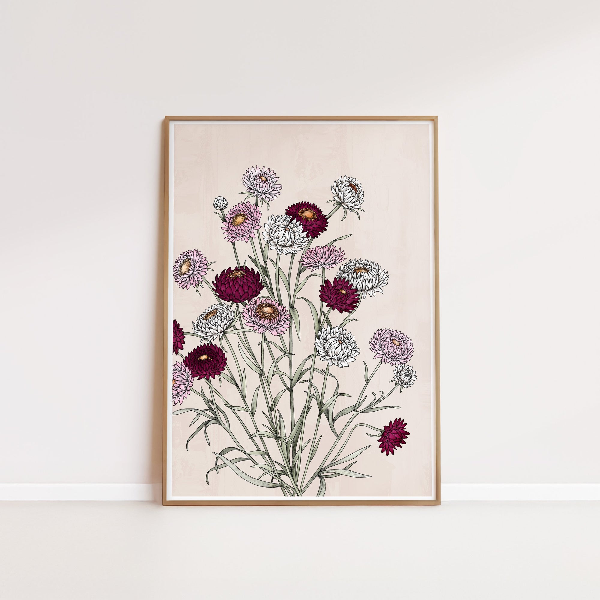 T2470_strawflowers.jpg