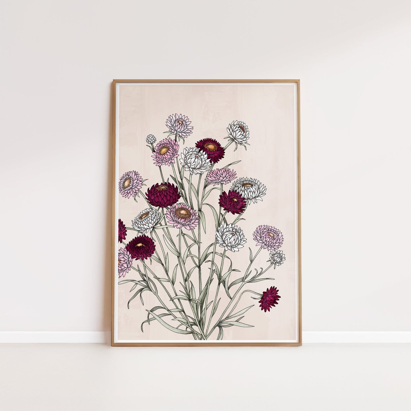 T2470_strawflowers.jpg