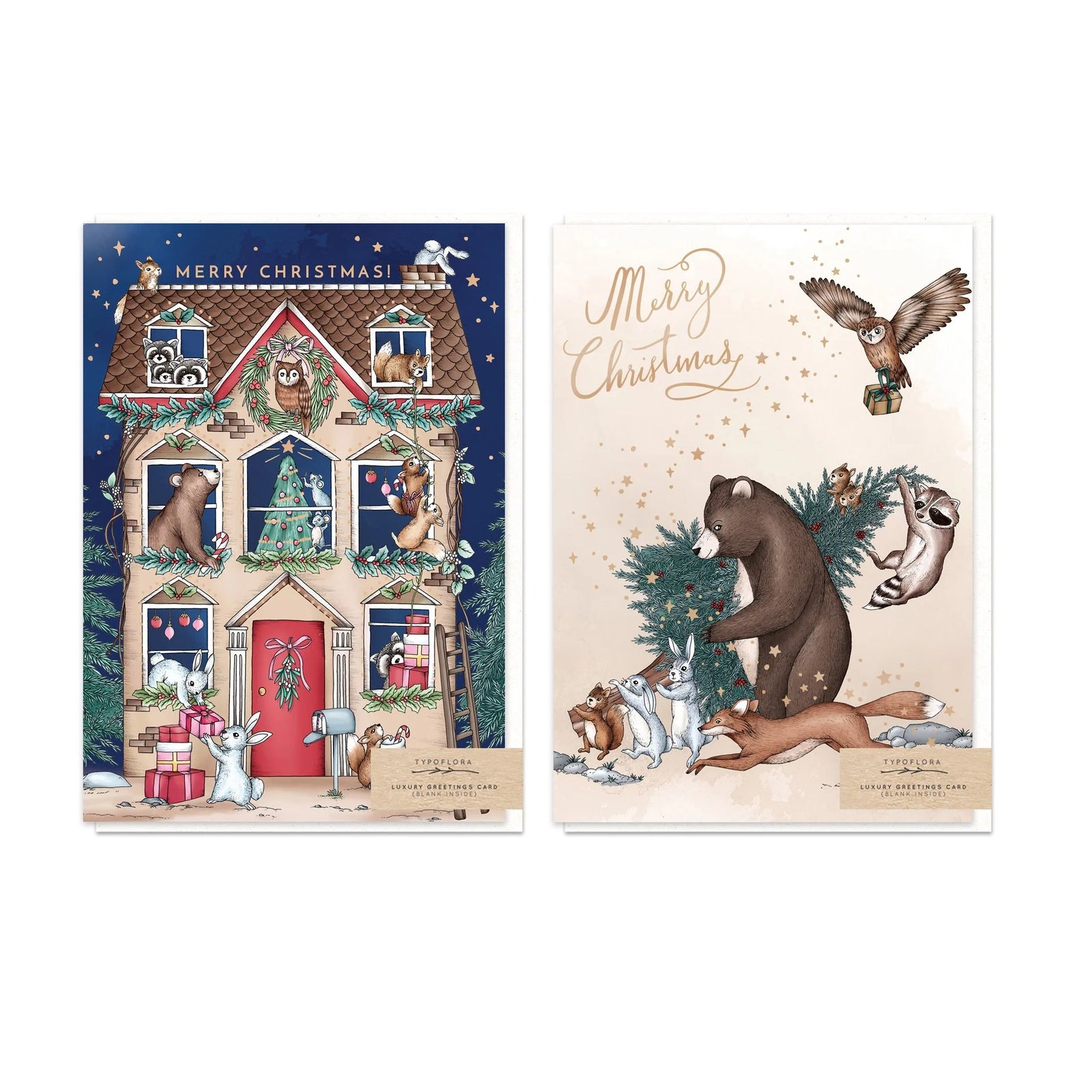 Magical Christmas Card Pack