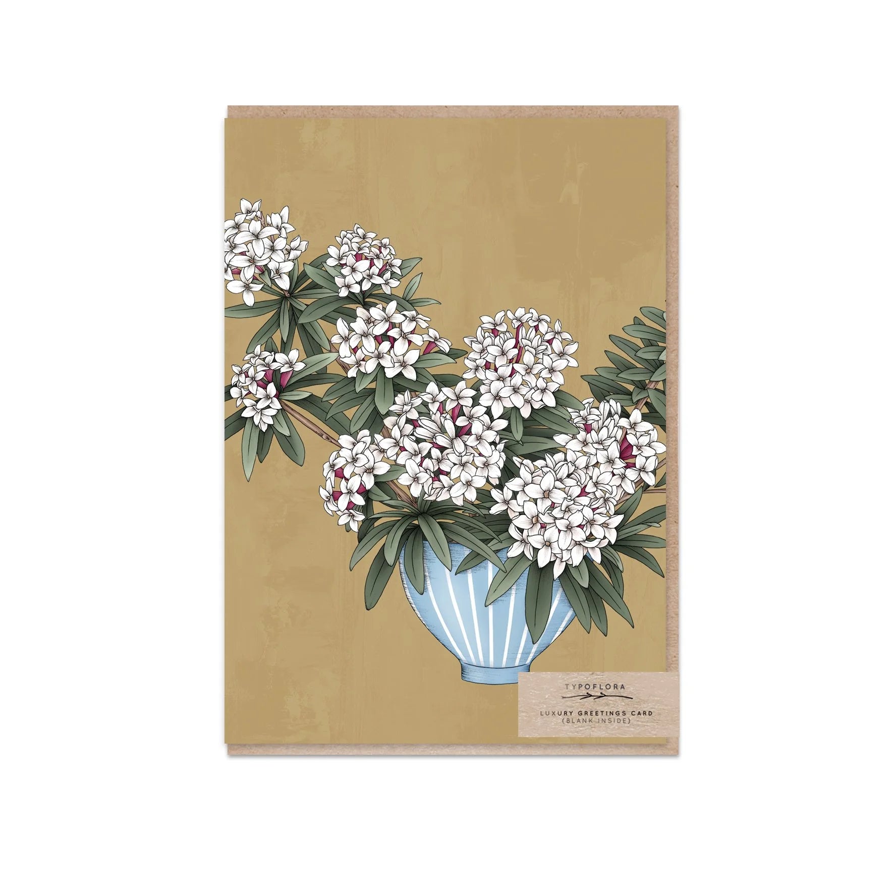 Daphne Still Life Card