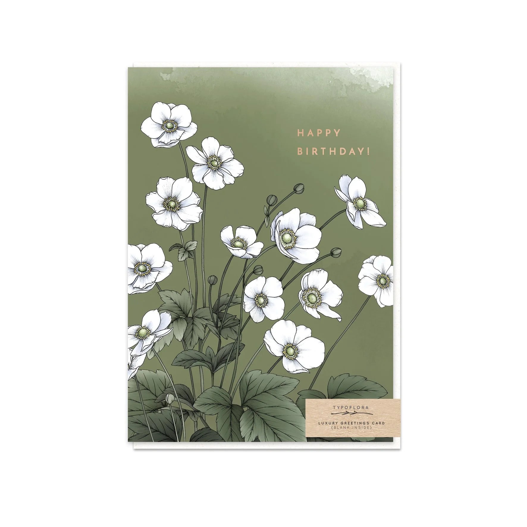 T2564_windflower_birthday_b.jpg