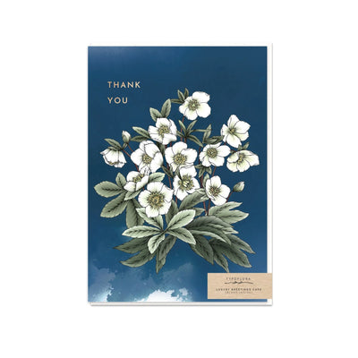 T2567_hellebores_b.jpg