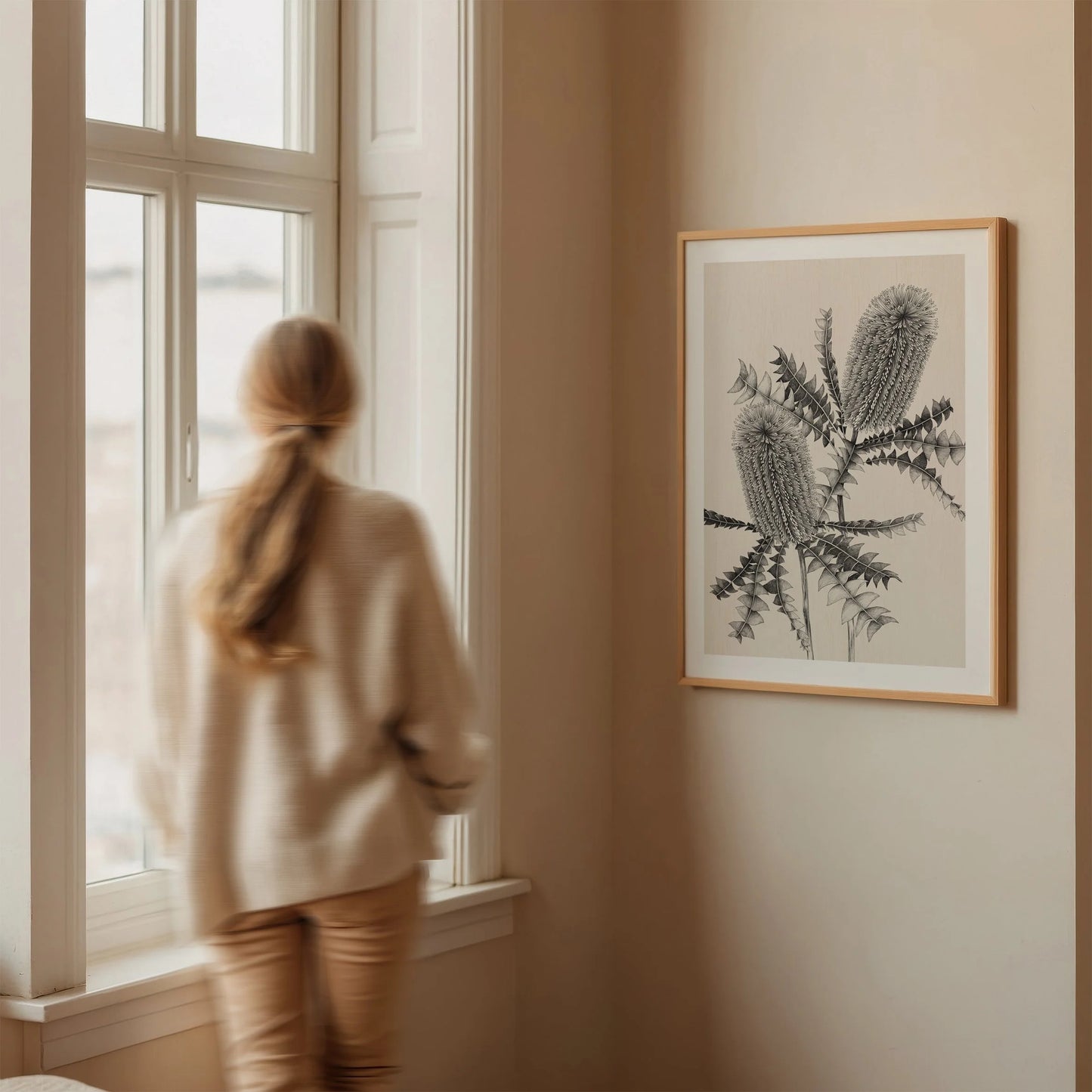 T2577_banksia2jpg.jpg