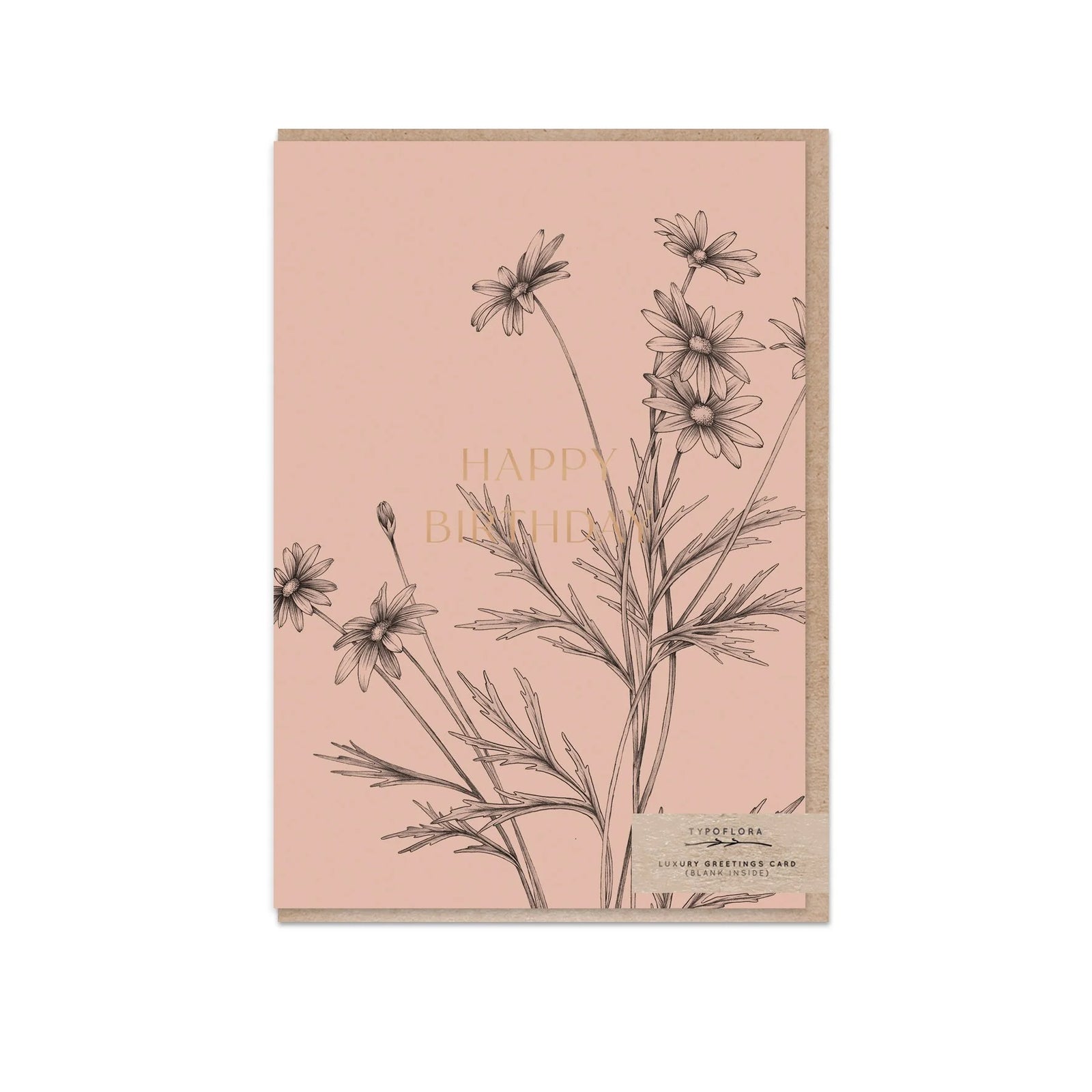 T2622_daisy_b.jpg