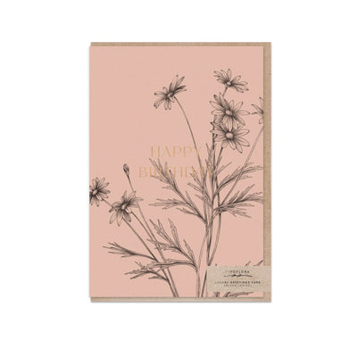T2622_daisy_b.jpg