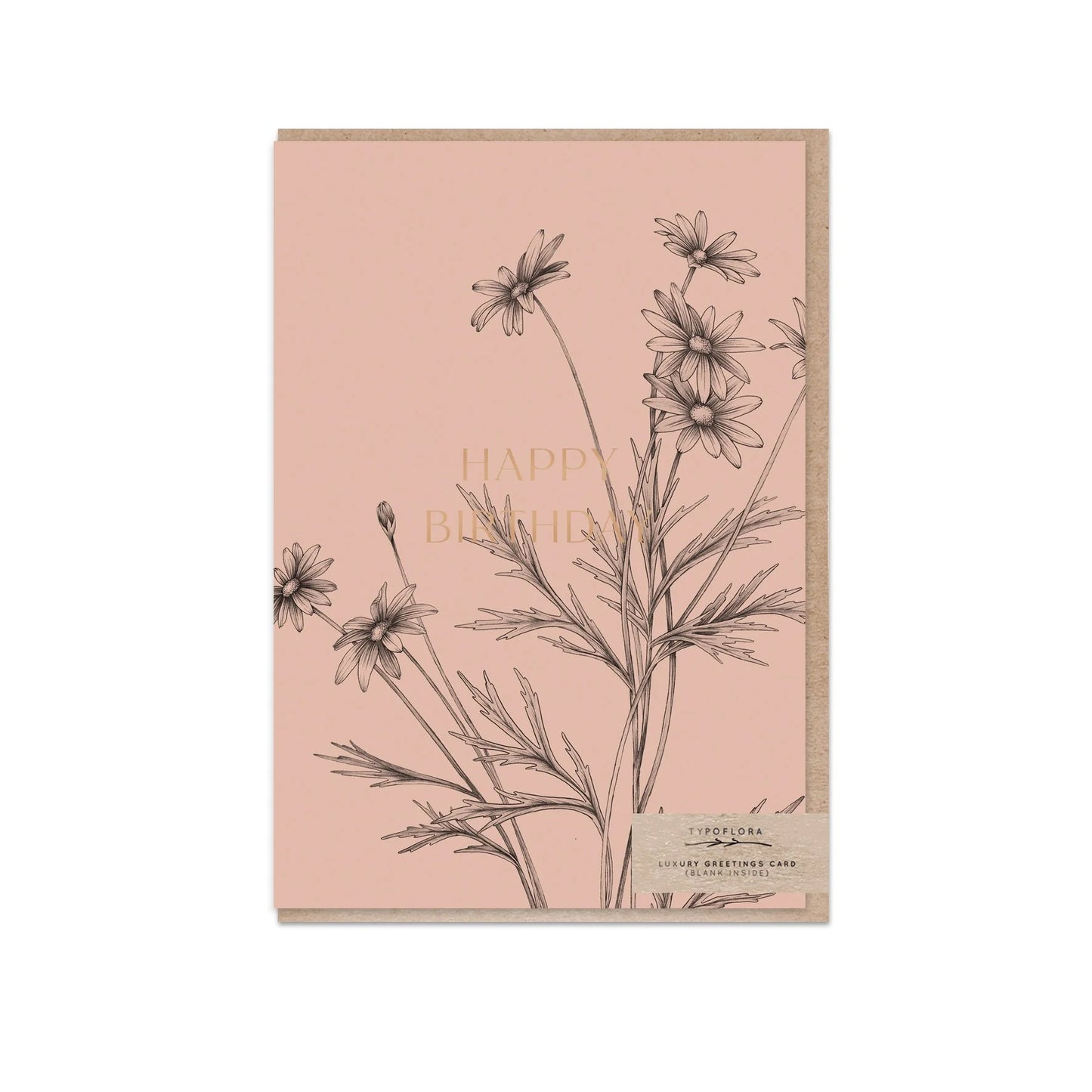 T2622_daisy_b.jpg