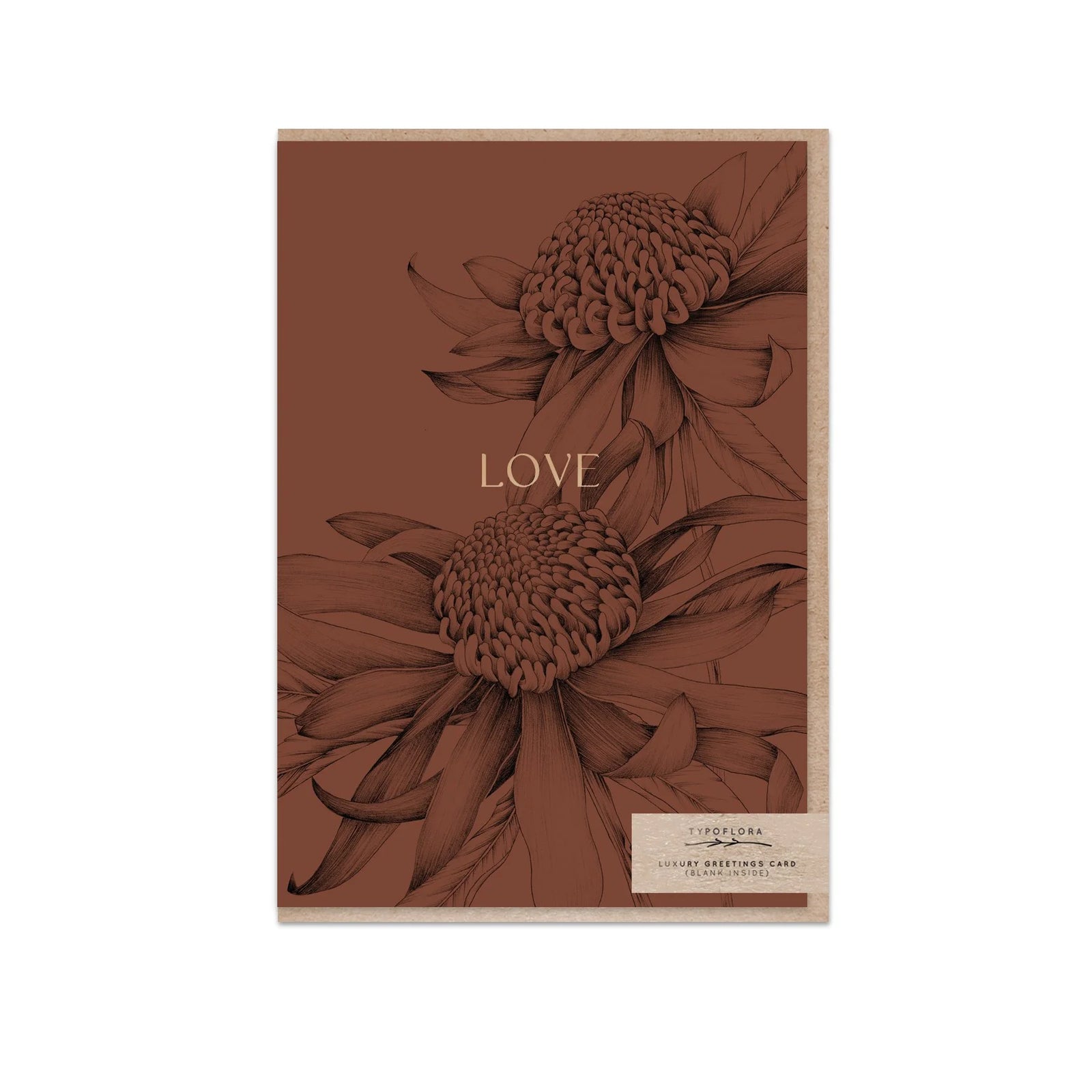 T2624_waratah_b.jpg
