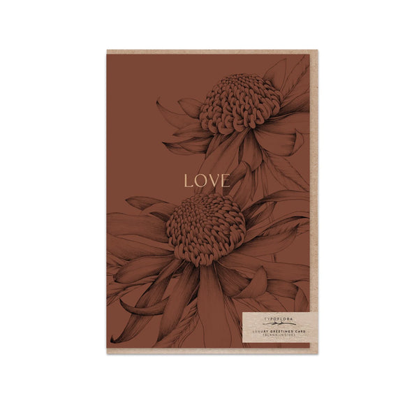 T2624_waratah_b.jpg