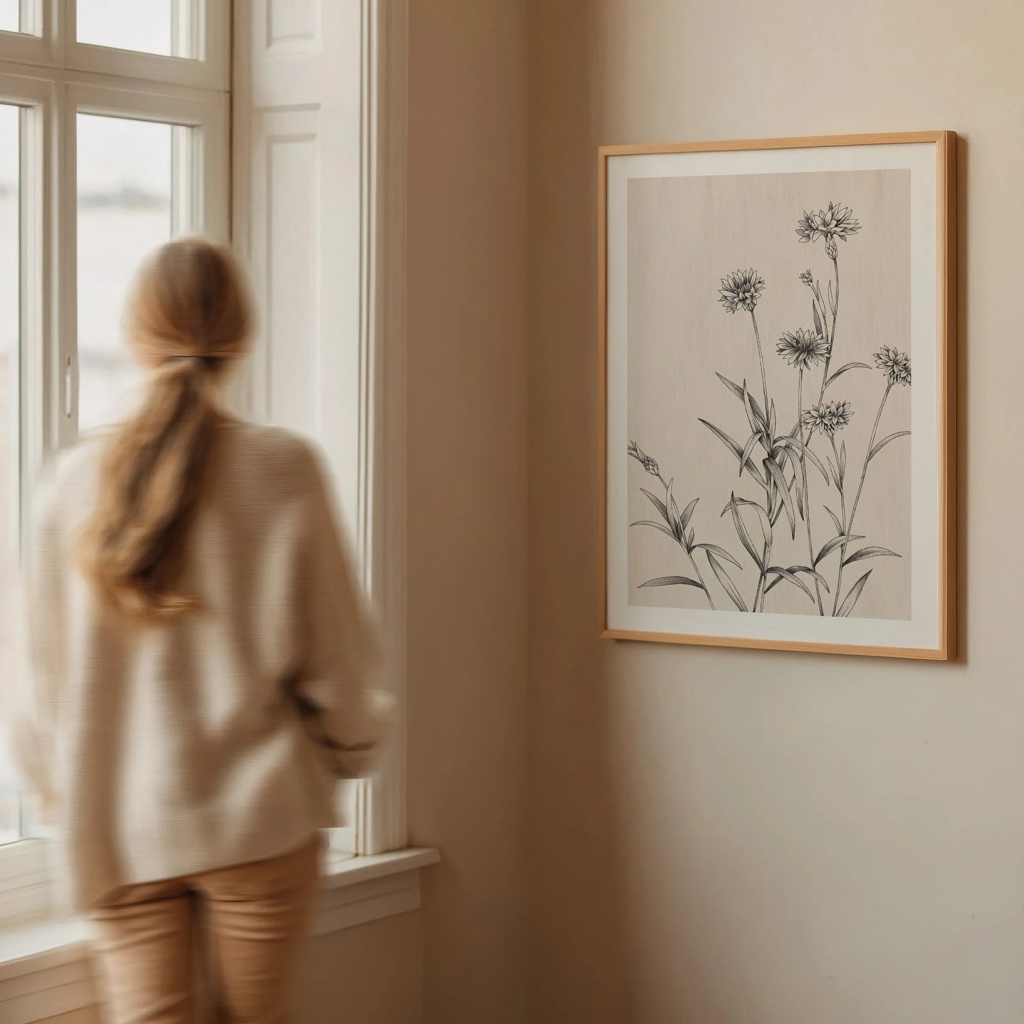 T2631_cornflower3 copy.jpg