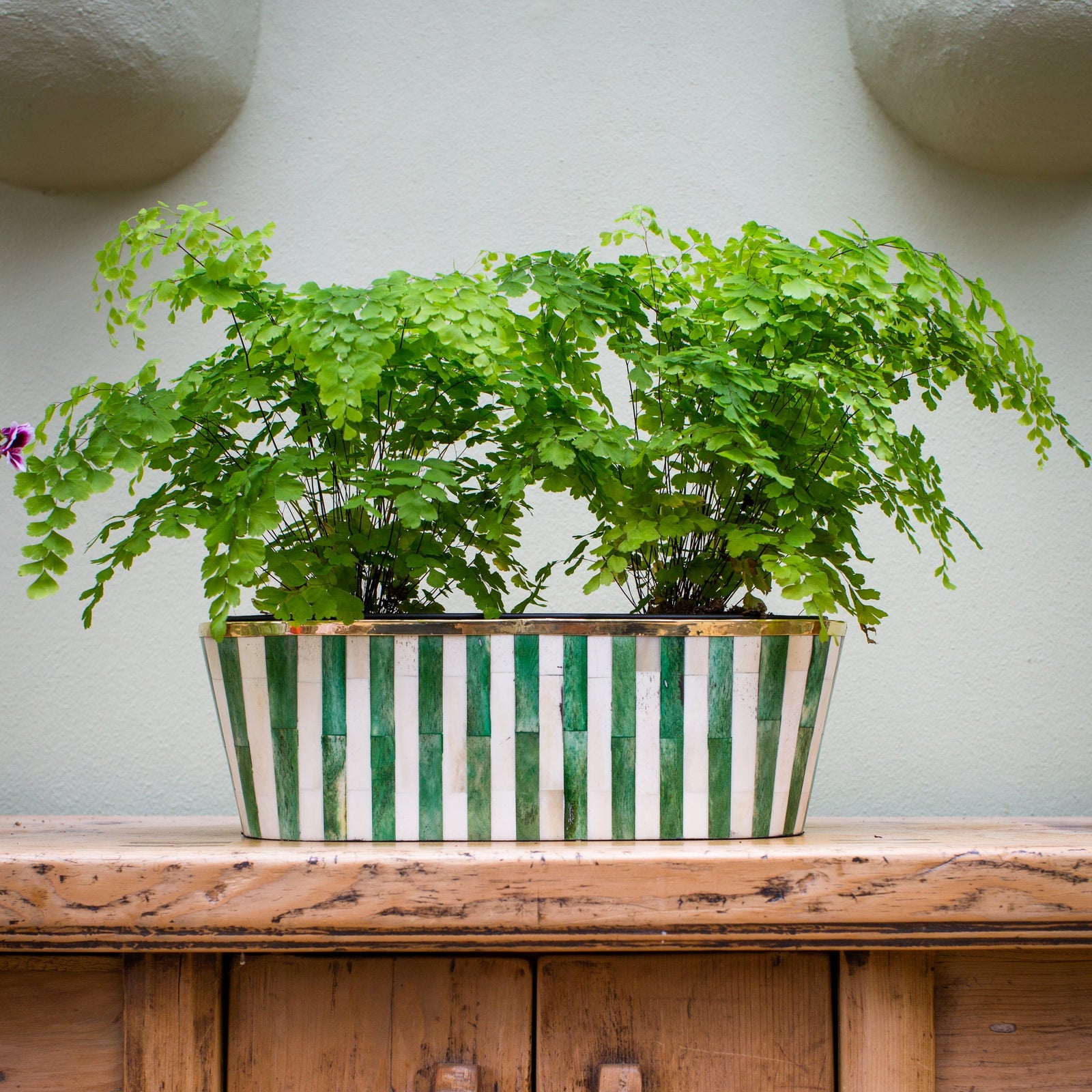 Oblong Inlay Planter | Large | Green | Striped