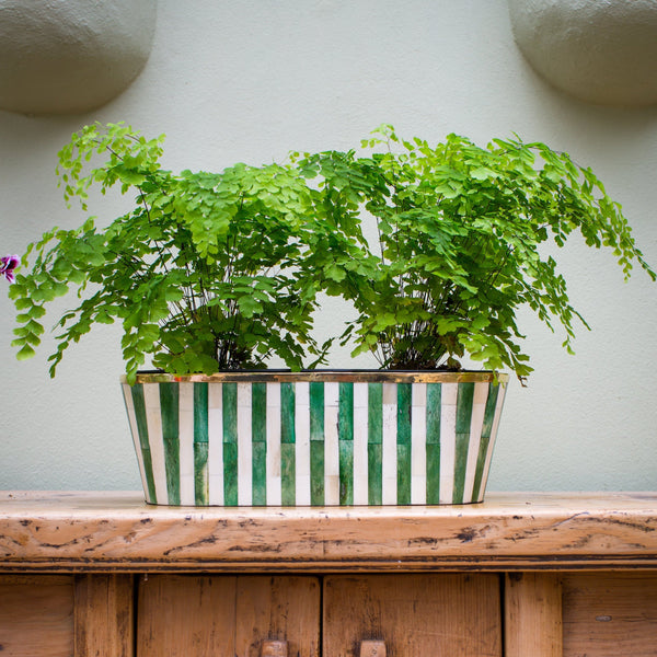 Oblong Inlay Planter | Large | Green | Striped