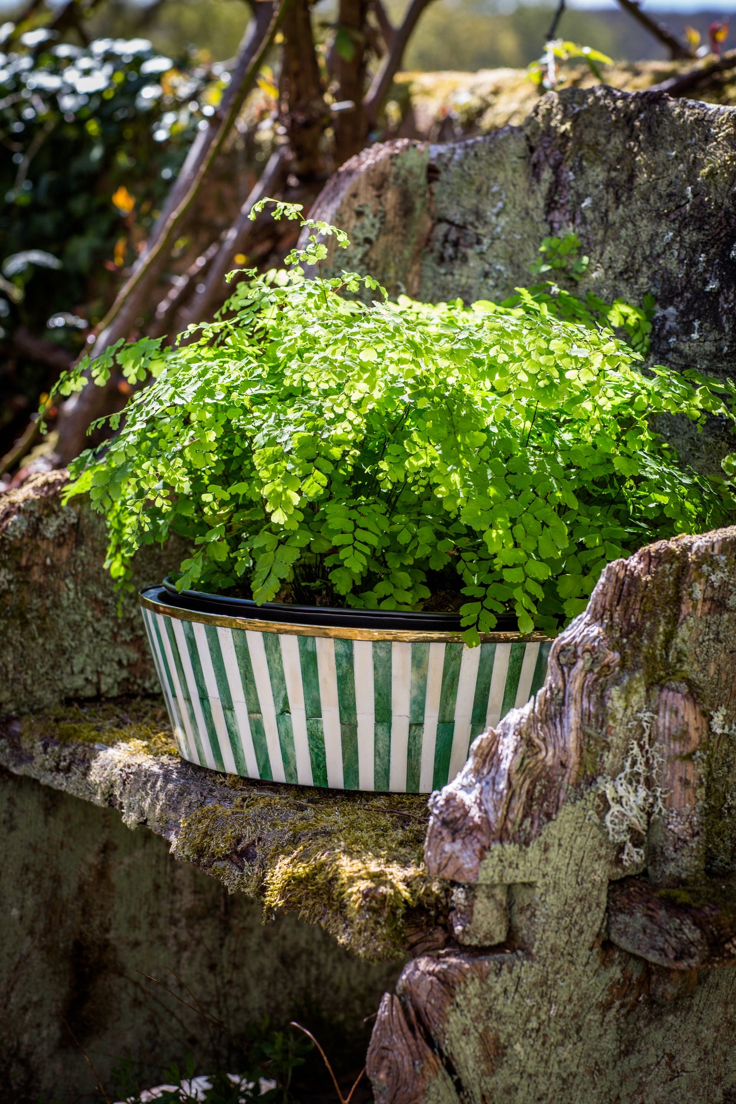 Round Inlay Planter | Large | Green | Striped