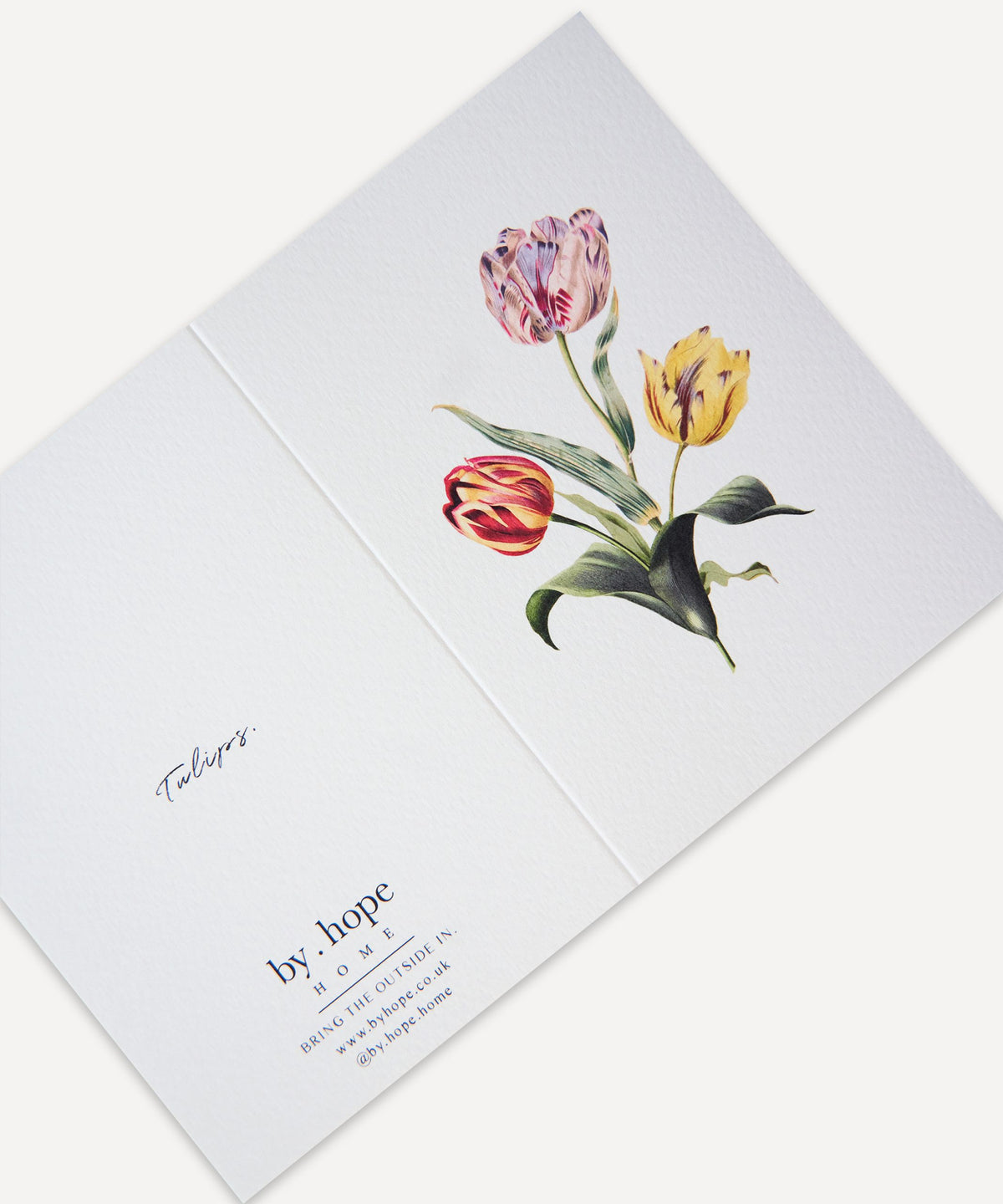 Tulips Greetings Card