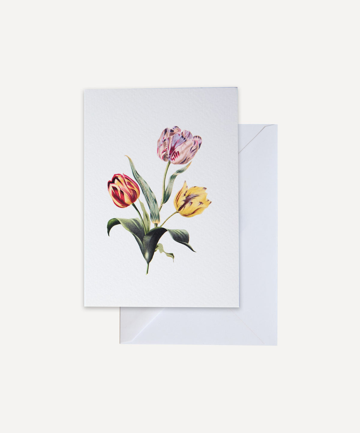 Tulips Greetings Card