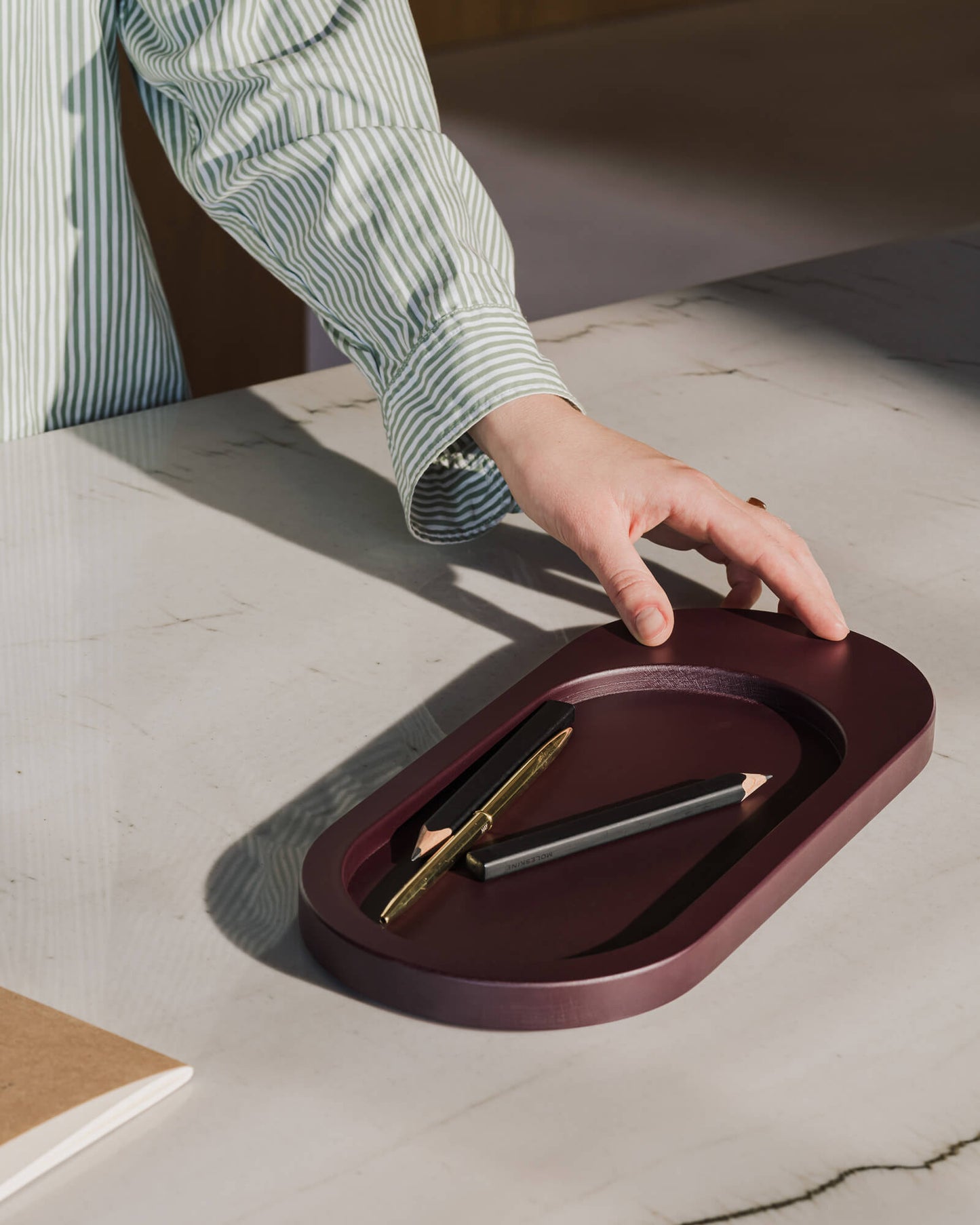 Tenu Tray