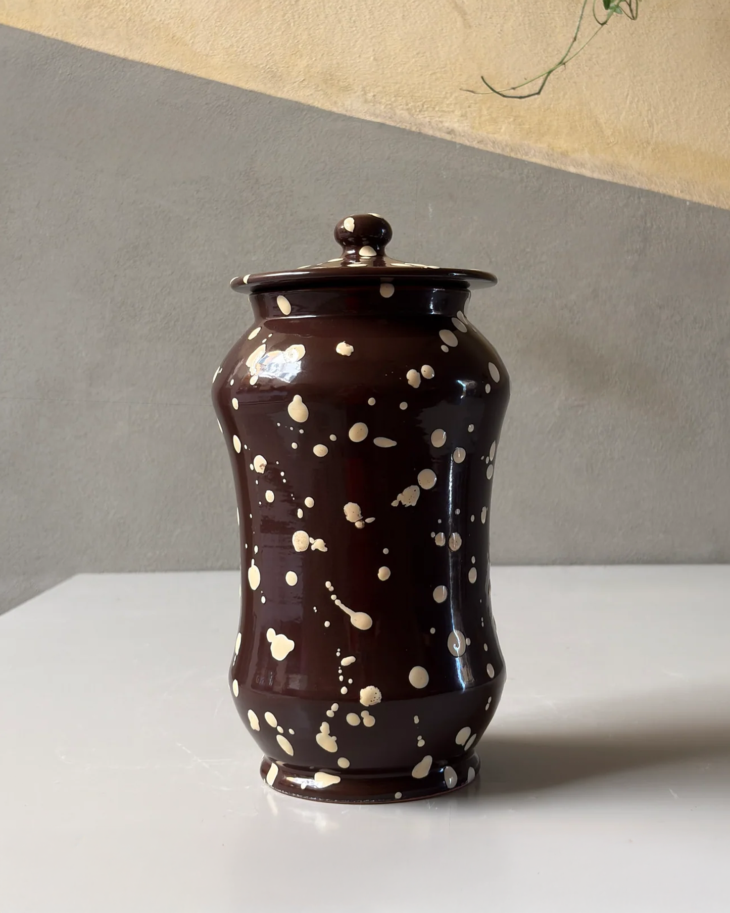 The Biscotti Jar
