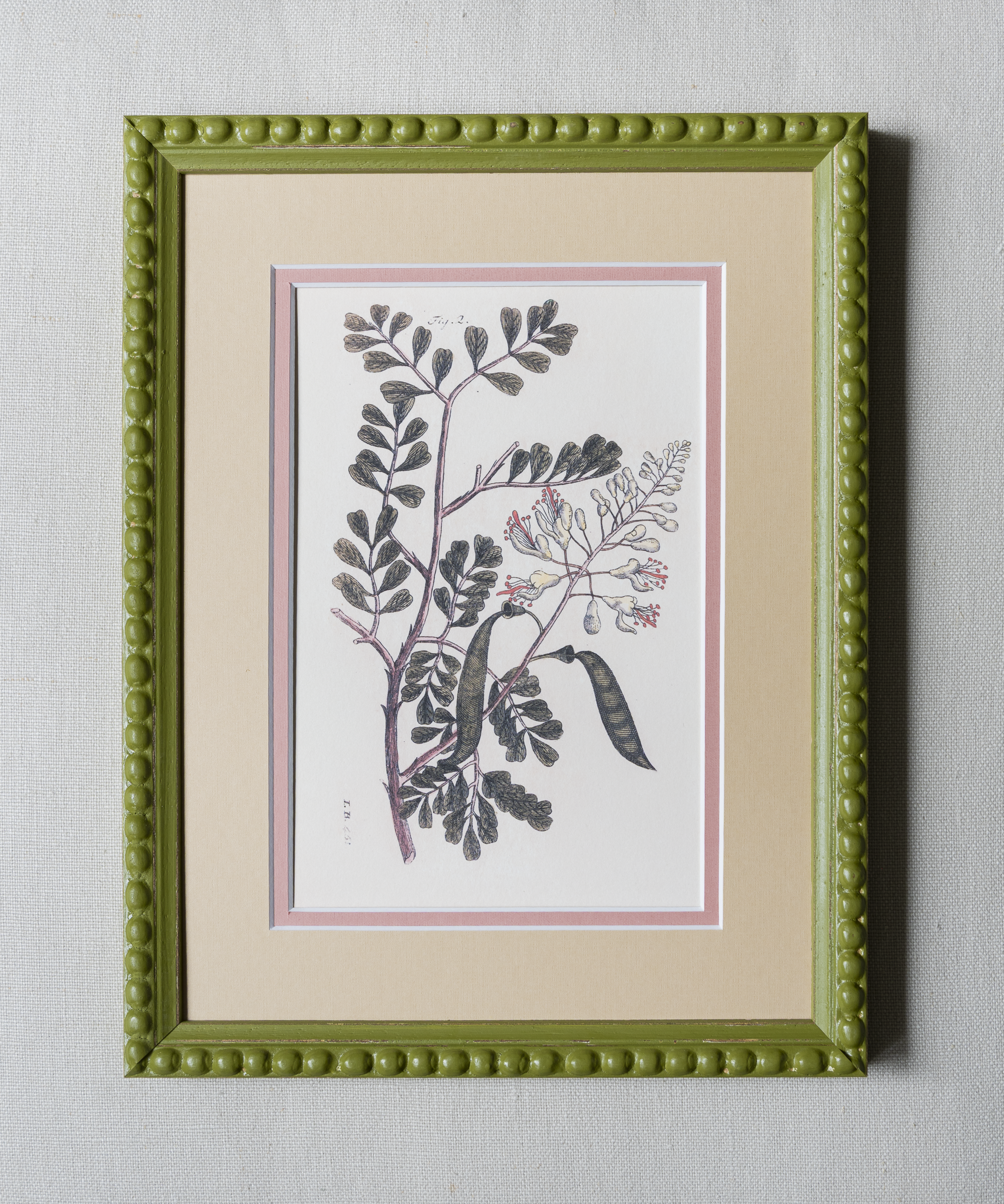 The Green Botanicals Artwork