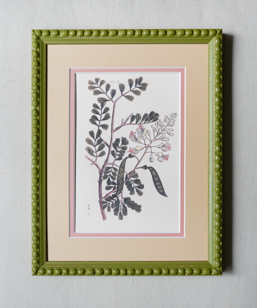 The Green Botanicals Artwork
