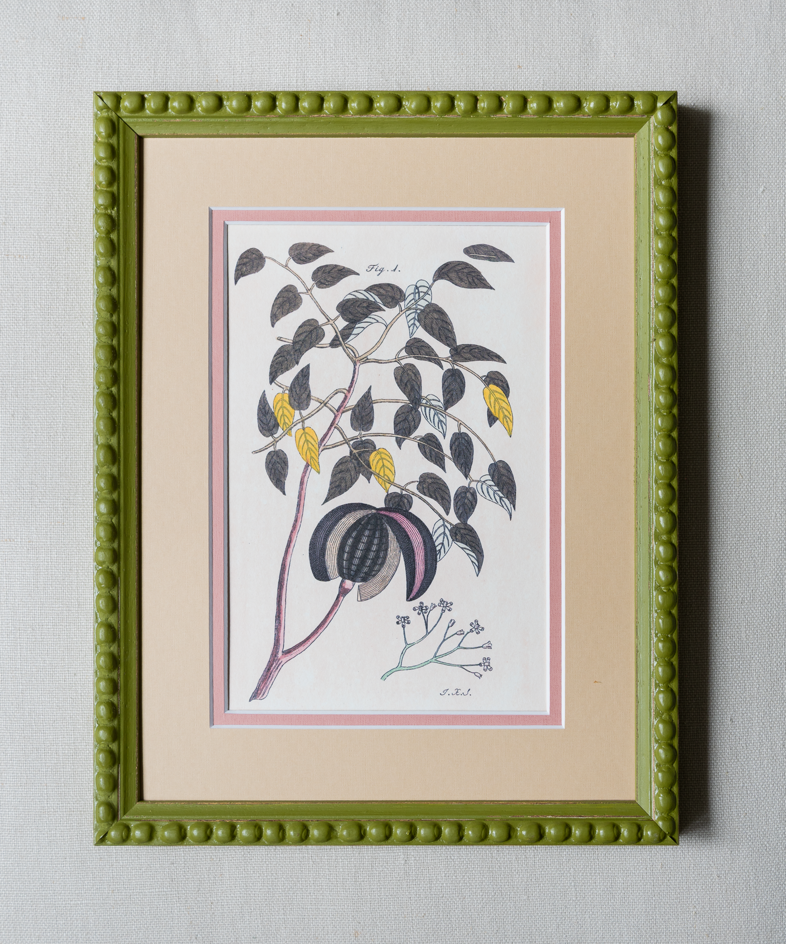 The Green Botanicals Artwork