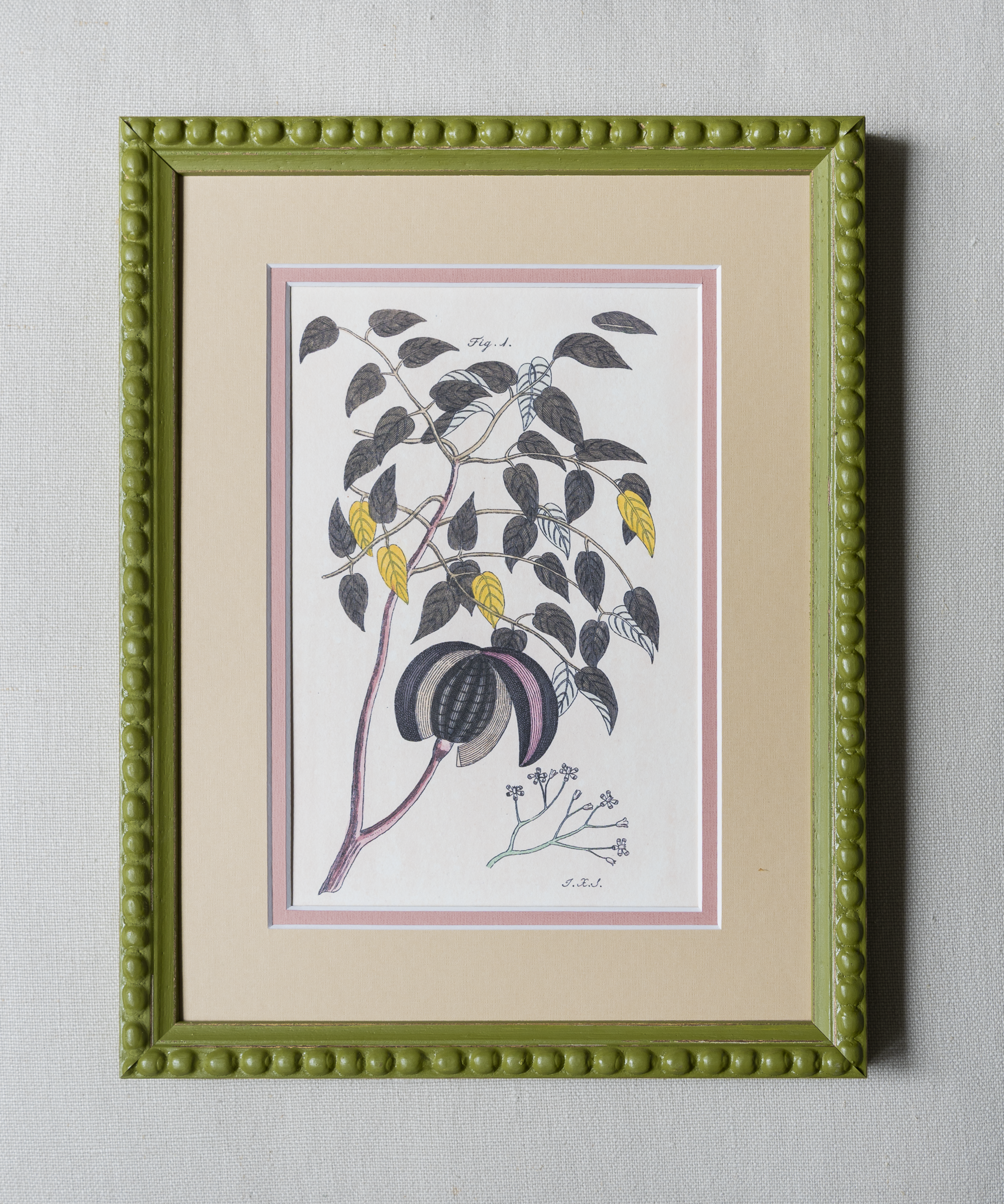 The Green Botanicals Artwork