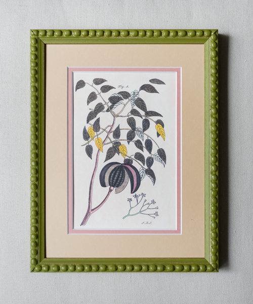 The Green Botanicals Artwork