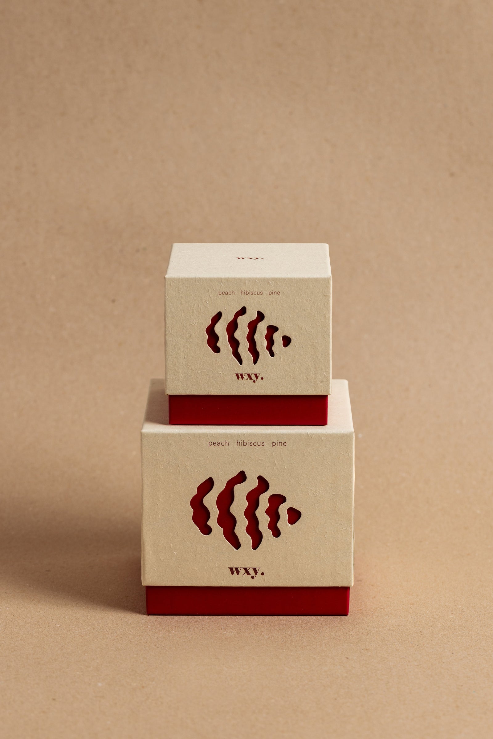 Roam Candle | Peach. Hibiscus. Pine.