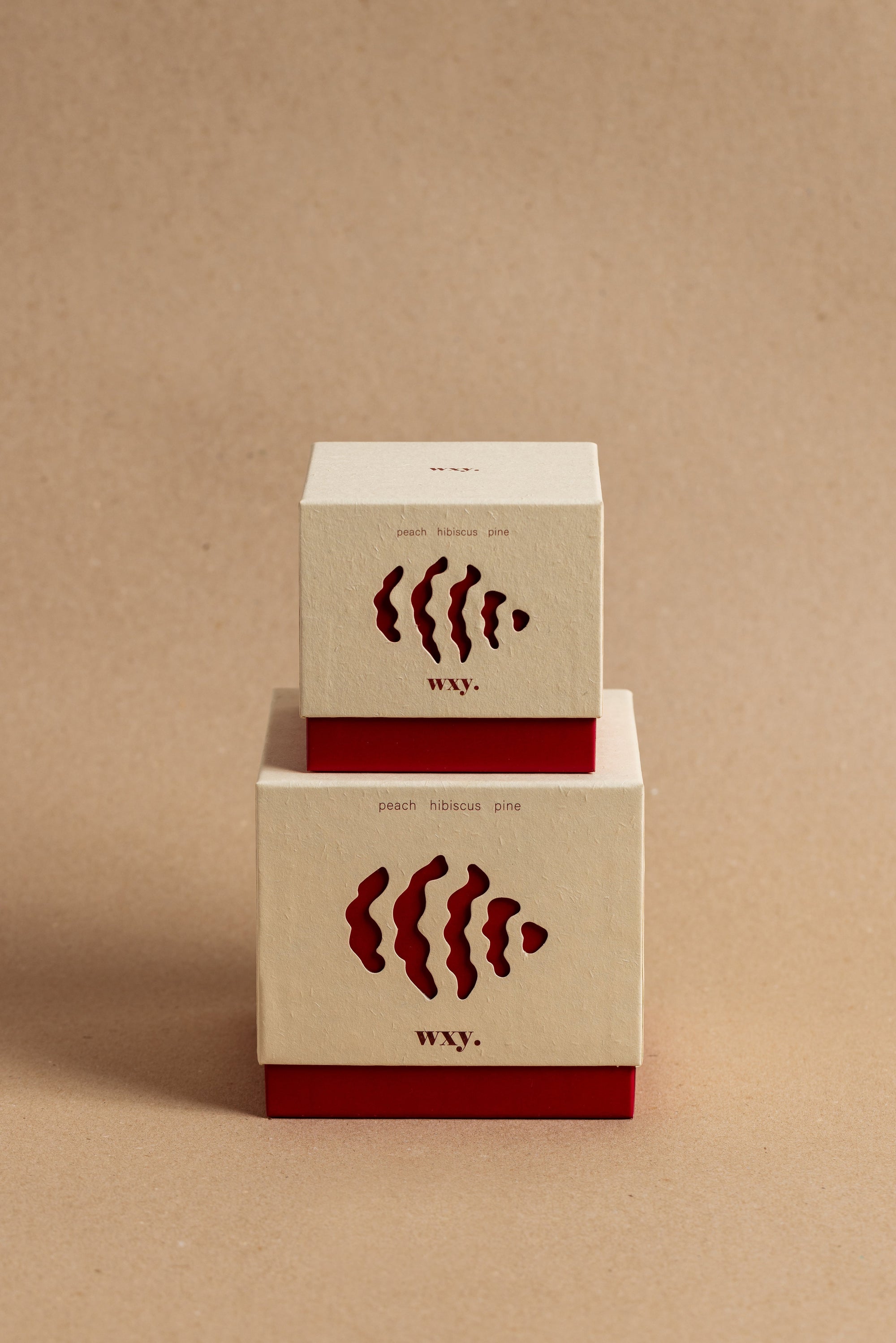 Roam Candle | Peach. Hibiscus. Pine.