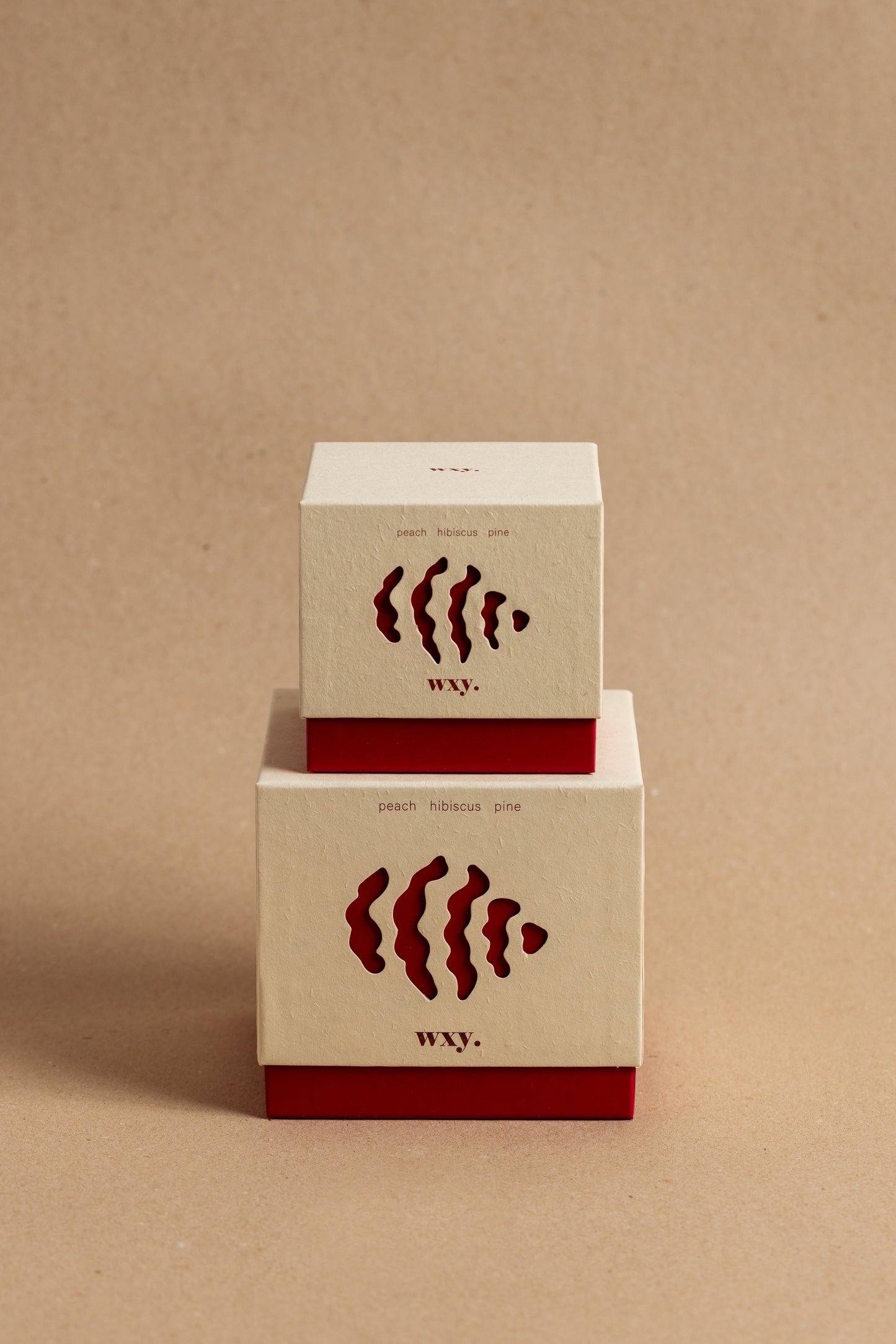 Roam Candle | Peach. Hibiscus. Pine.