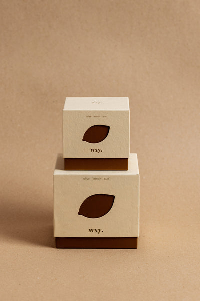 Roam Candle | Olive. Lemon. Sun.