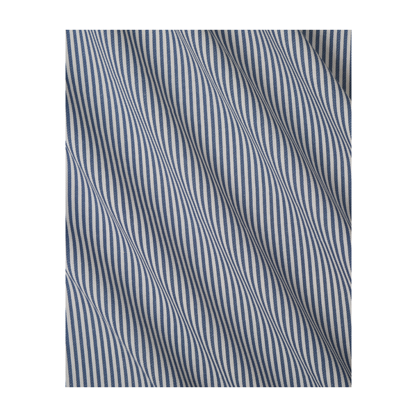 The Fine Stripe in Delphinium