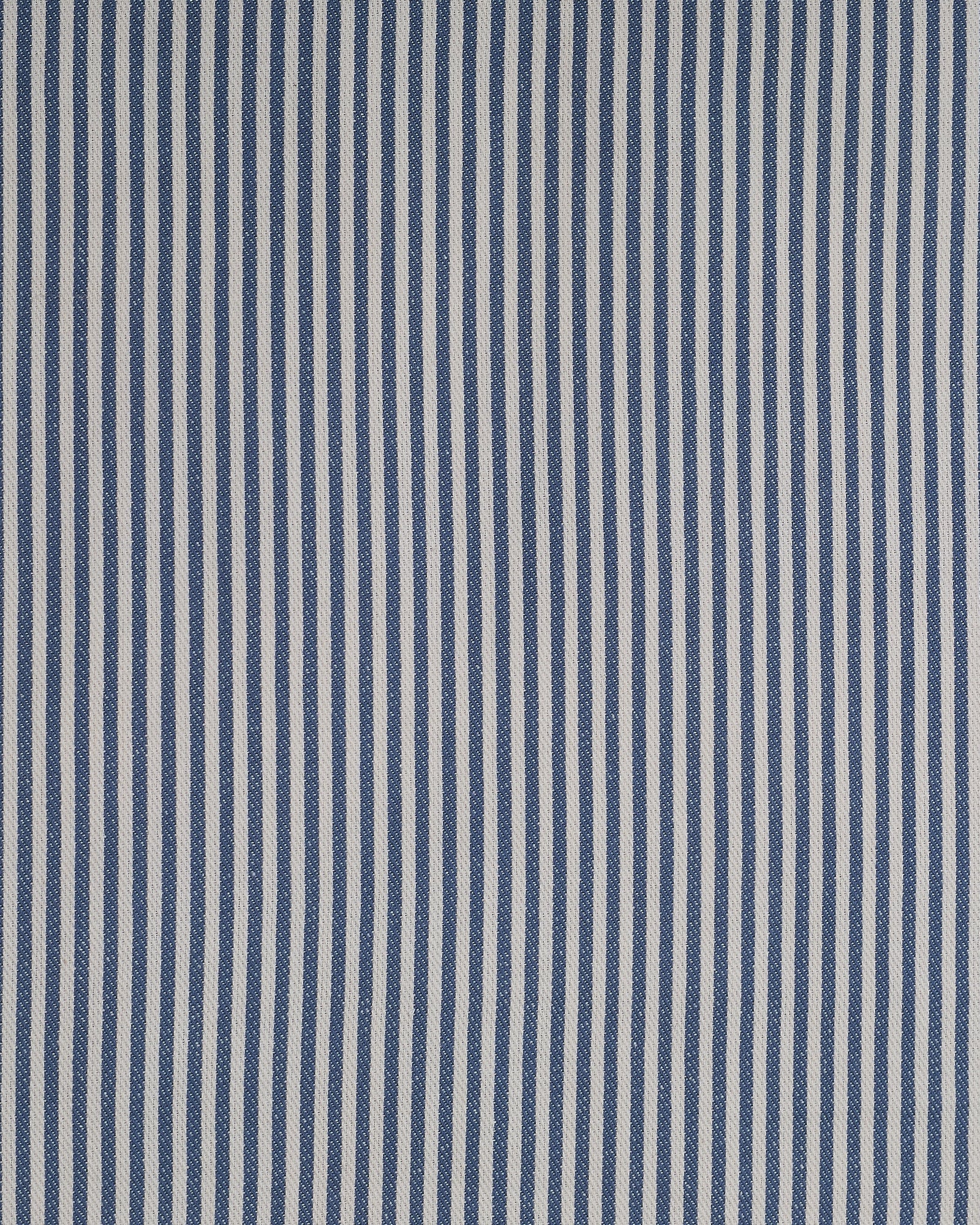 The Fine Stripe in Delphinium
