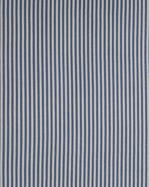 The Fine Stripe in Delphinium