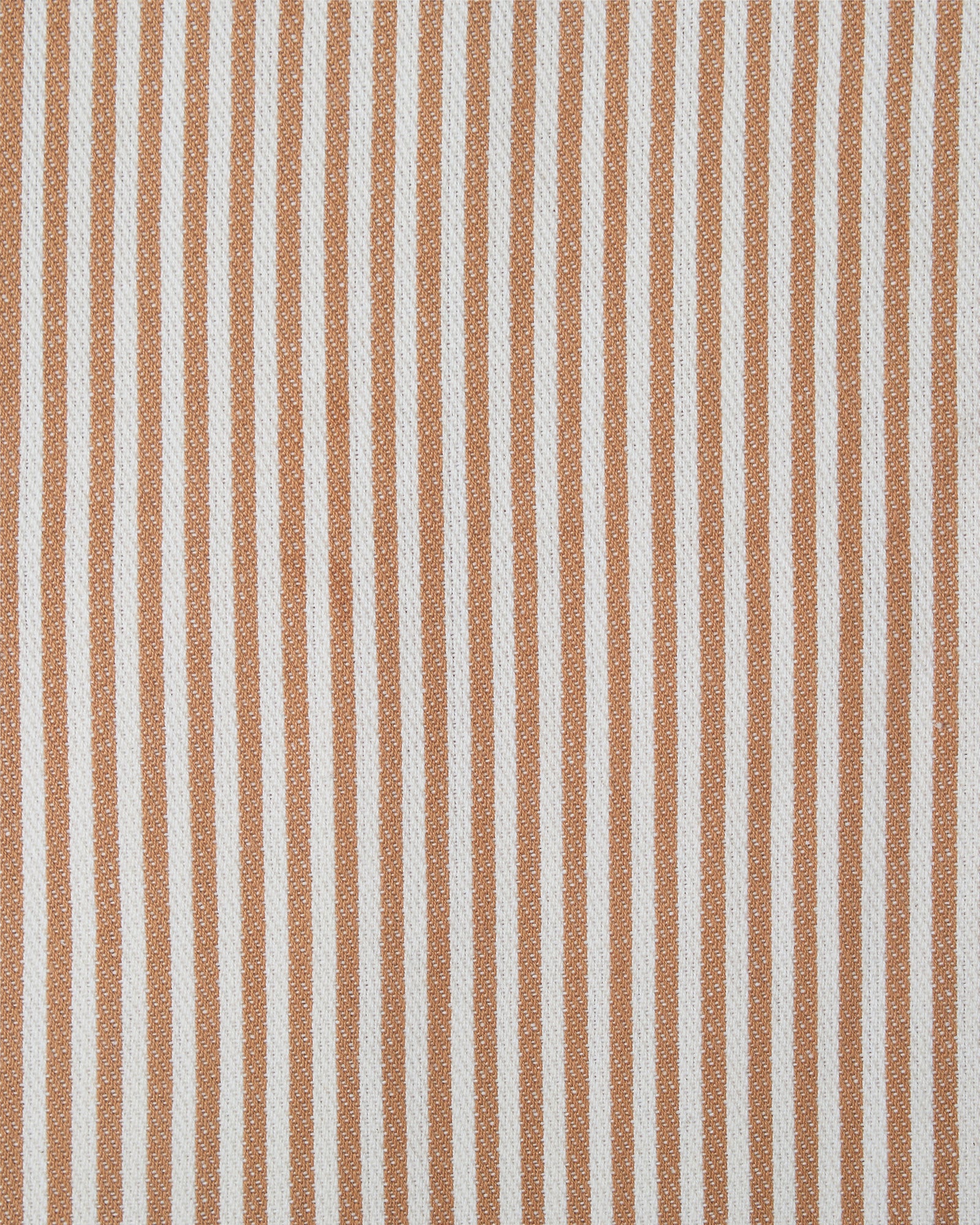 The Fine Stripe in Ochre