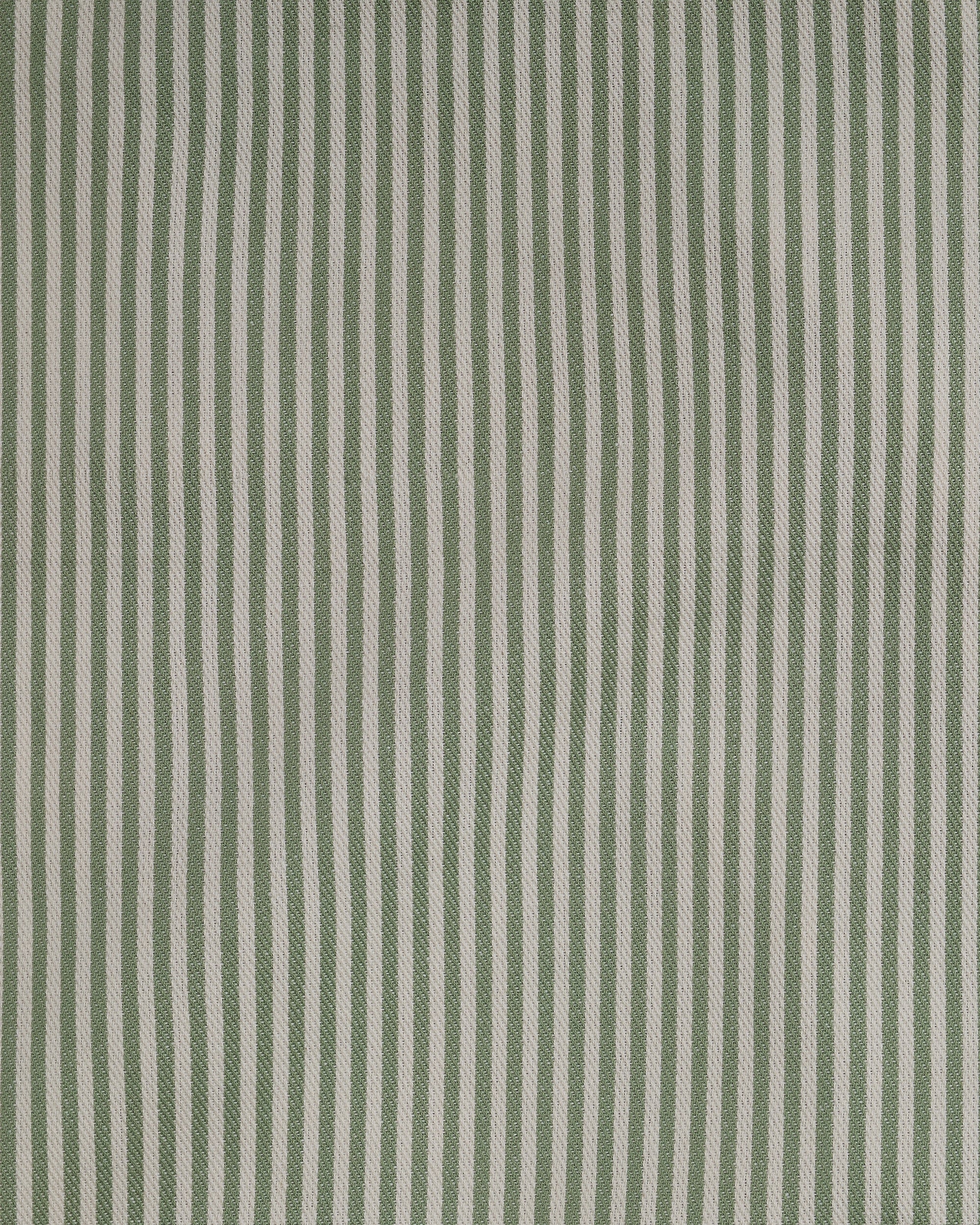 The Fine Stripe in Sage