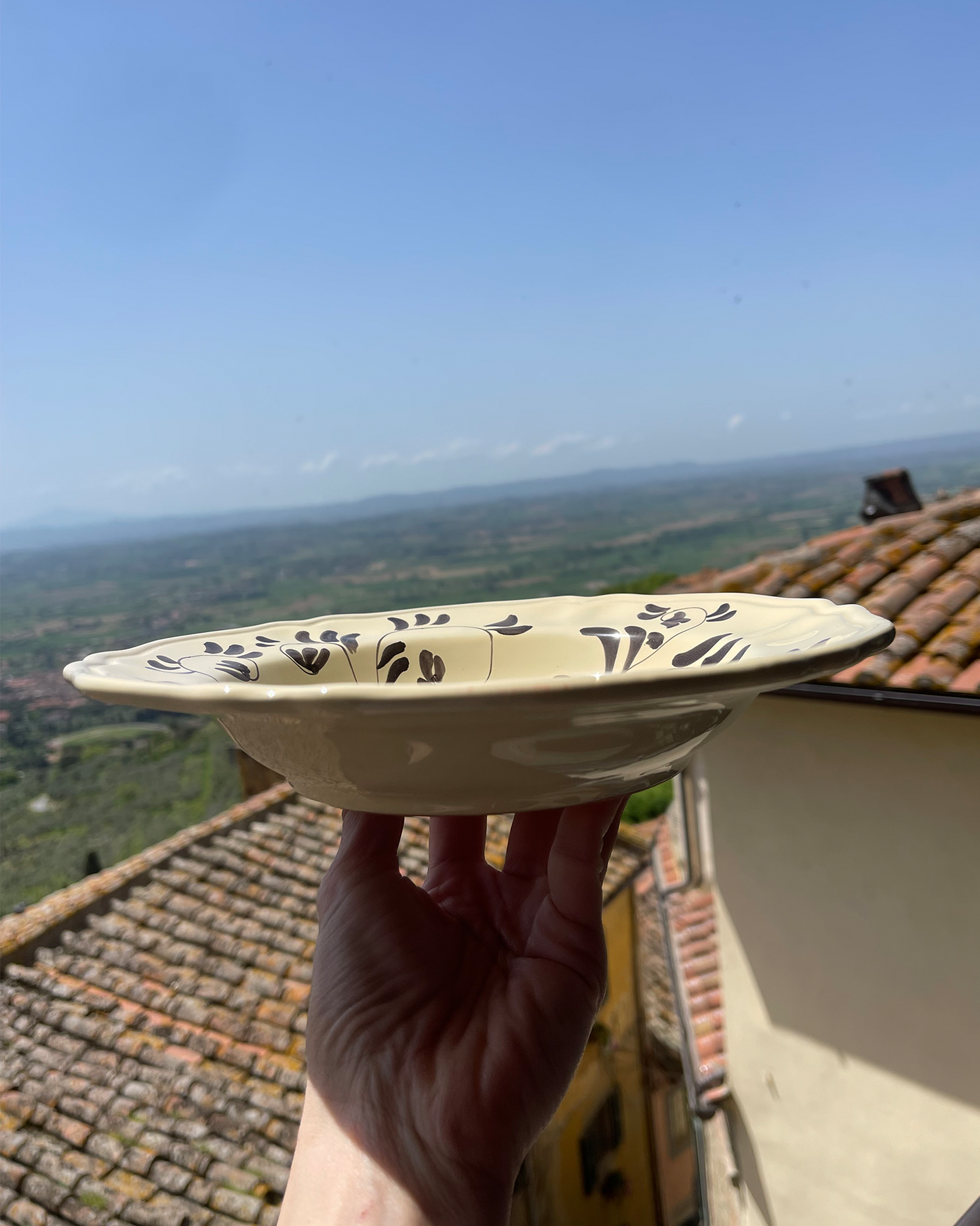 The Manganese Sim Soup Plate