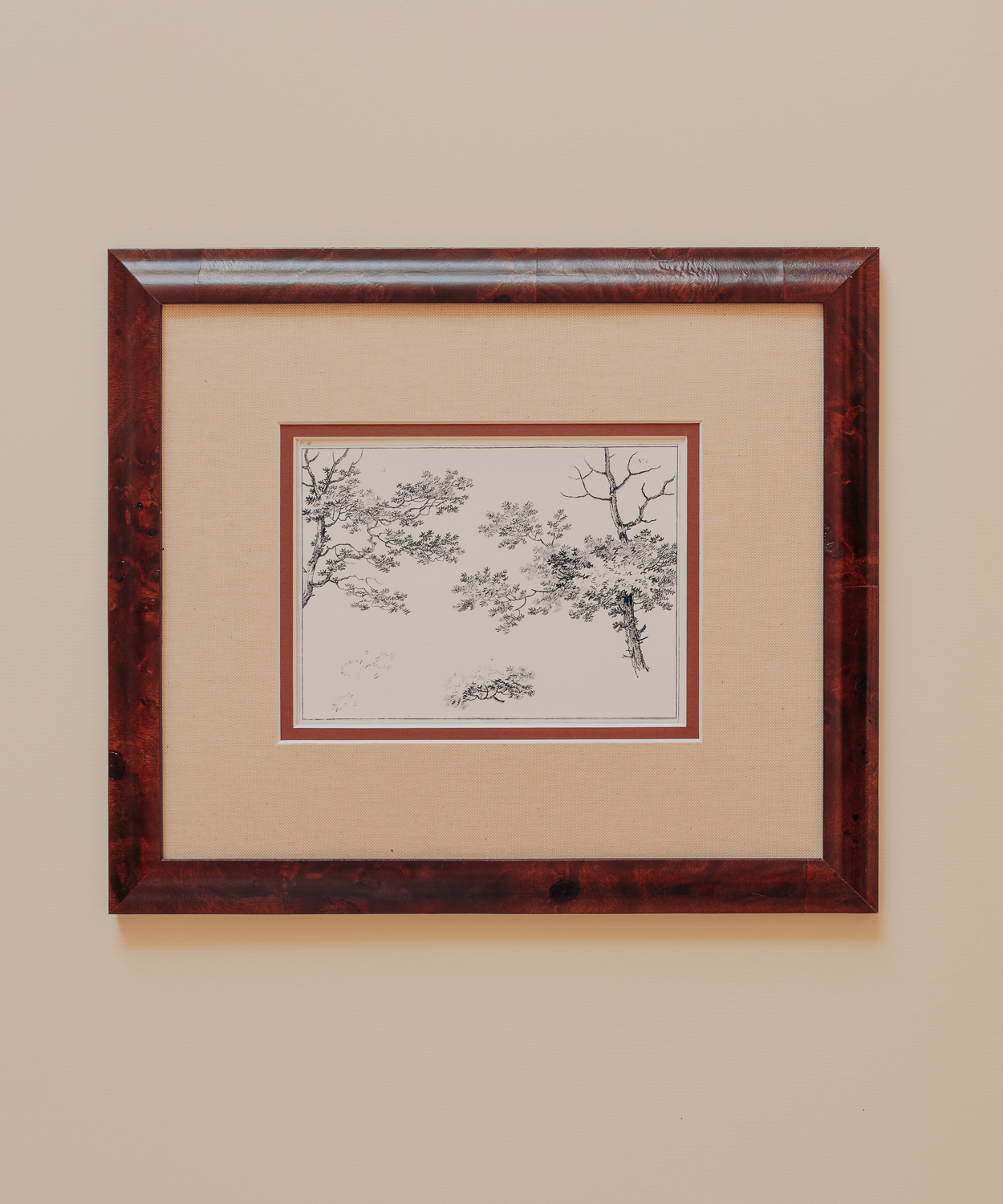 The Ancient Trees Print