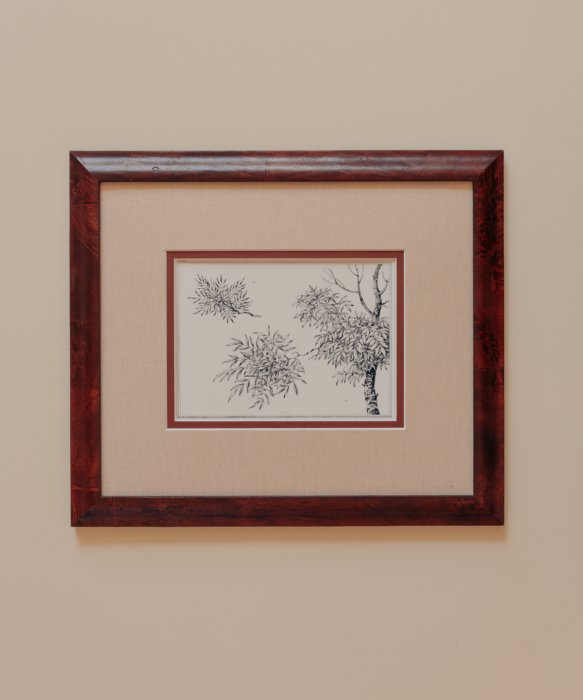 The Ancient Trees Print