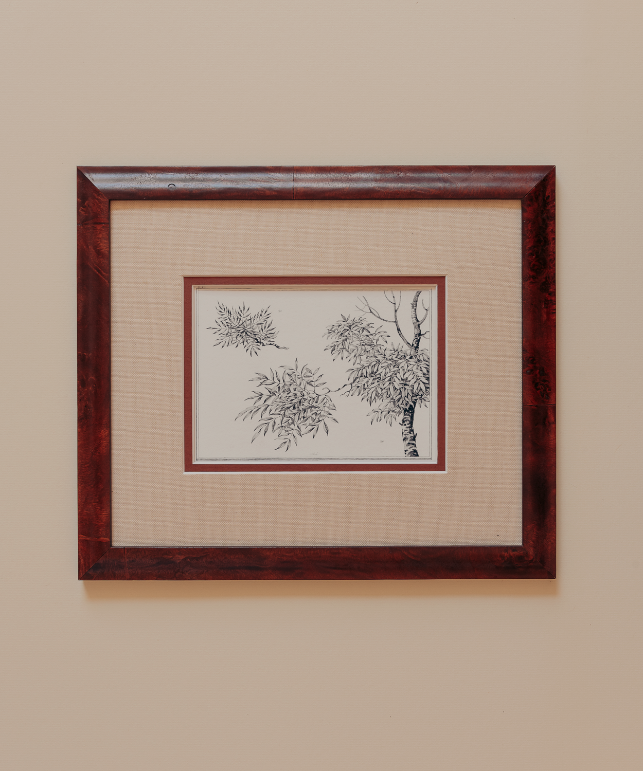 The Ancient Trees Print
