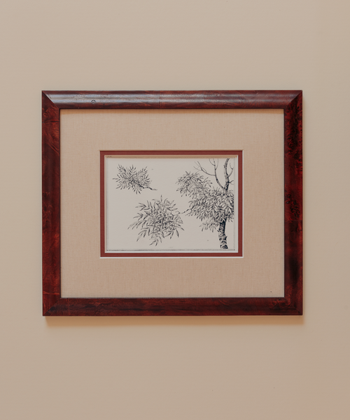 The Ancient Trees Print