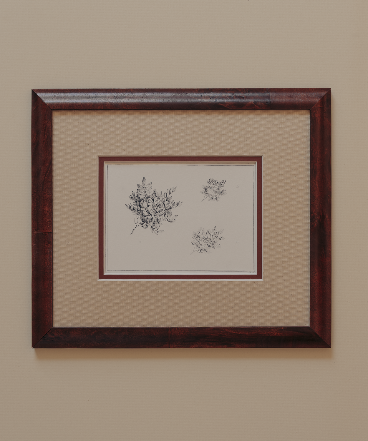 The Ancient Trees Print
