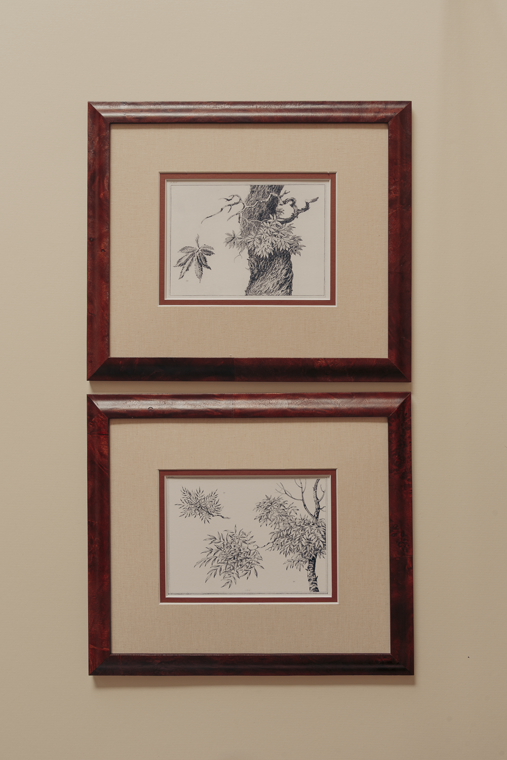 The Ancient Trees Print