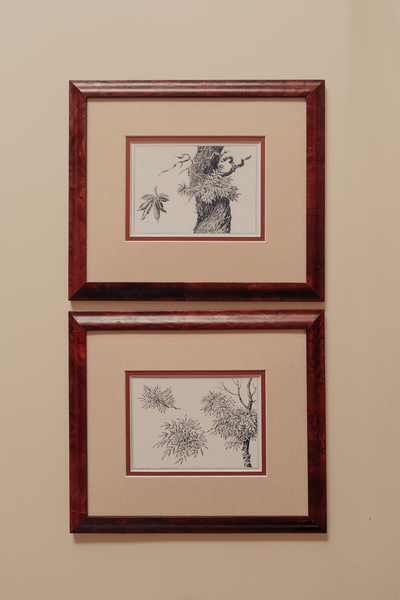 The Ancient Trees Print