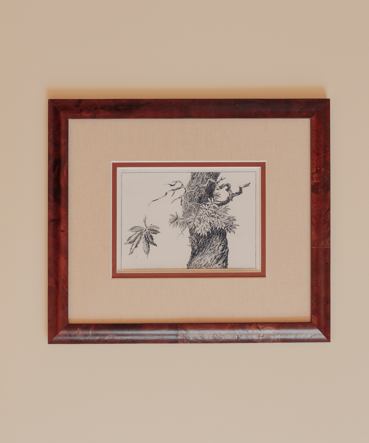 The Ancient Trees Print