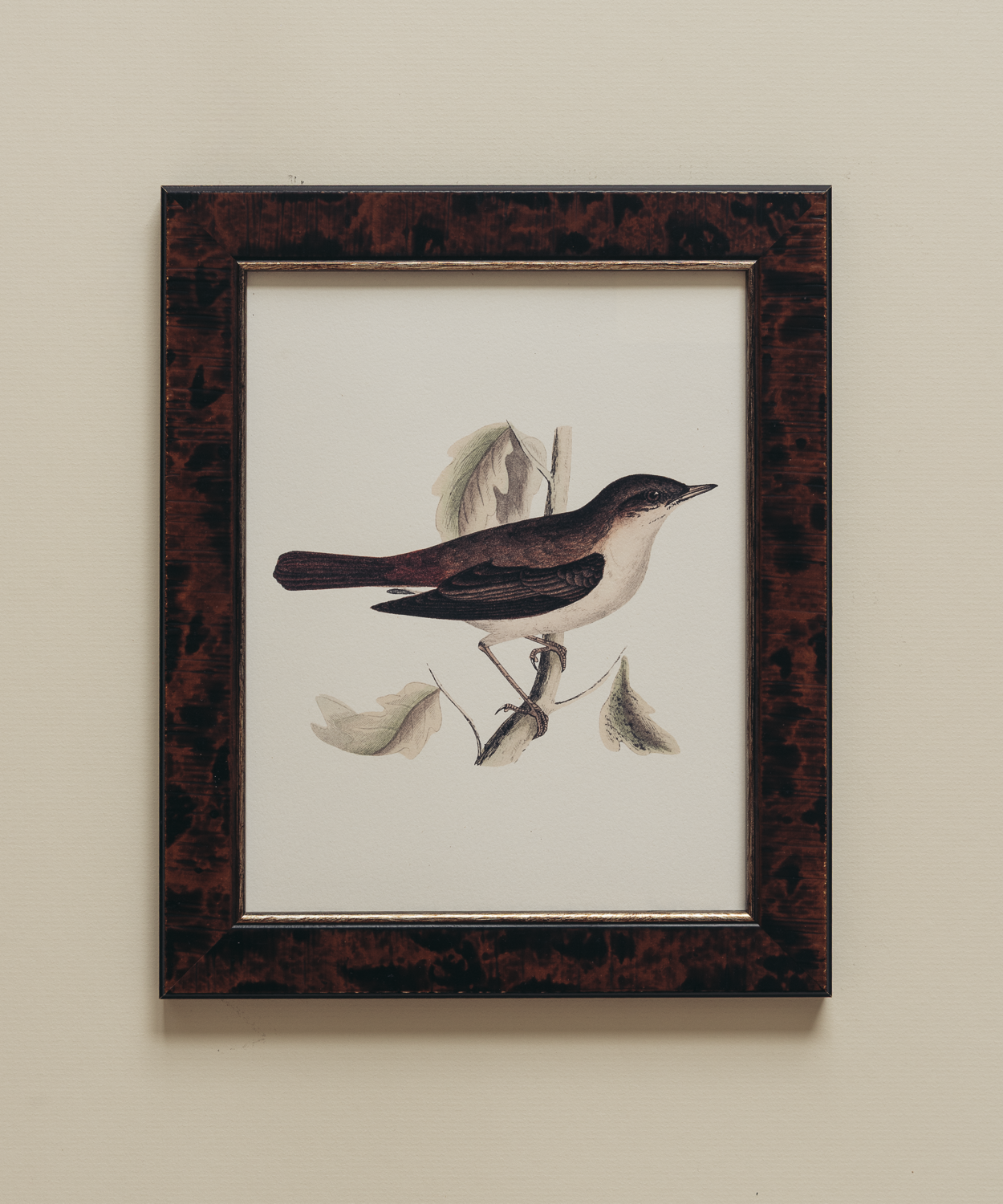The British Birds Print