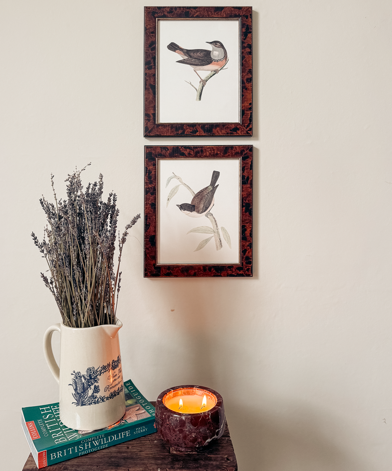 The British Birds Print
