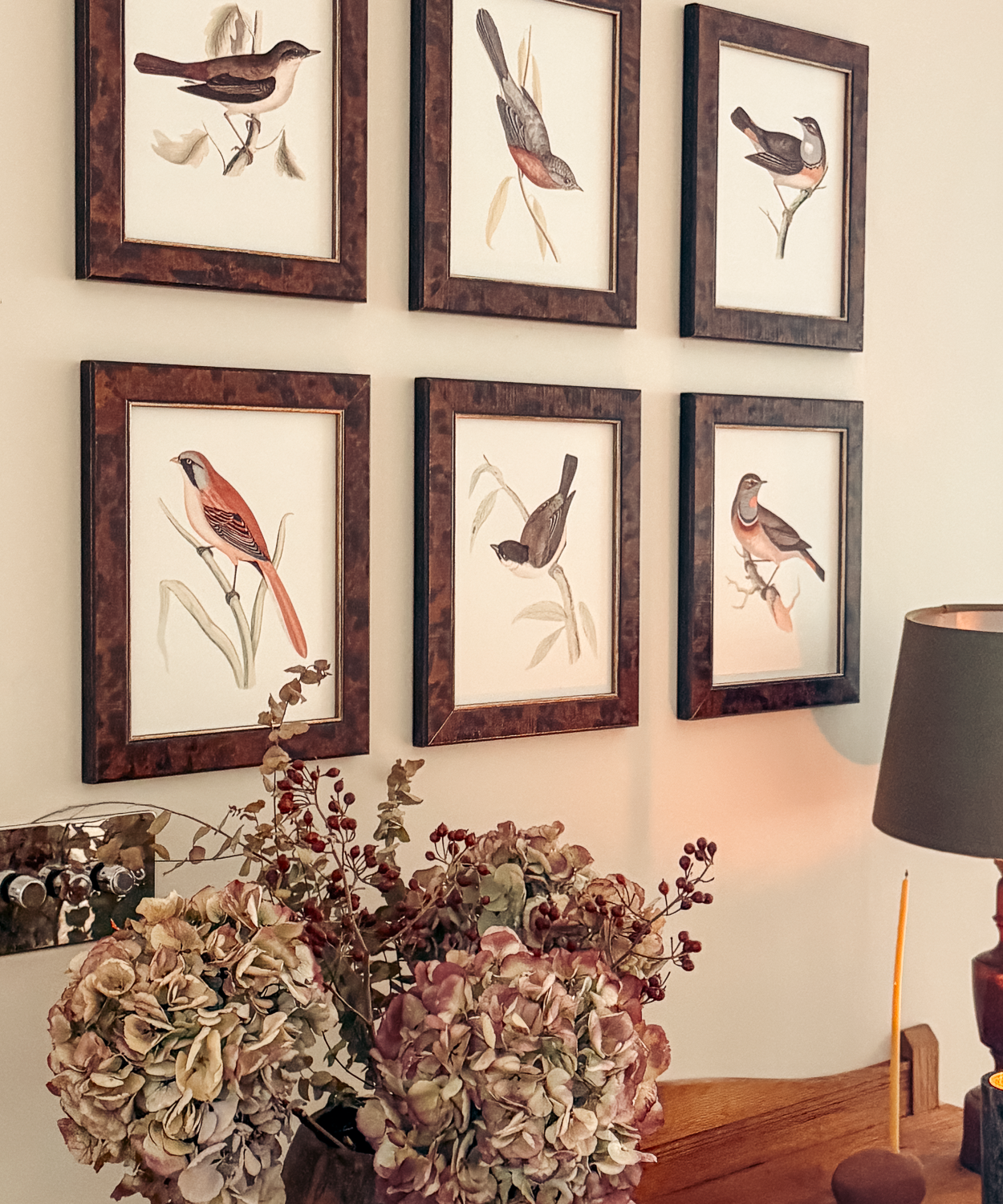 The British Birds Print