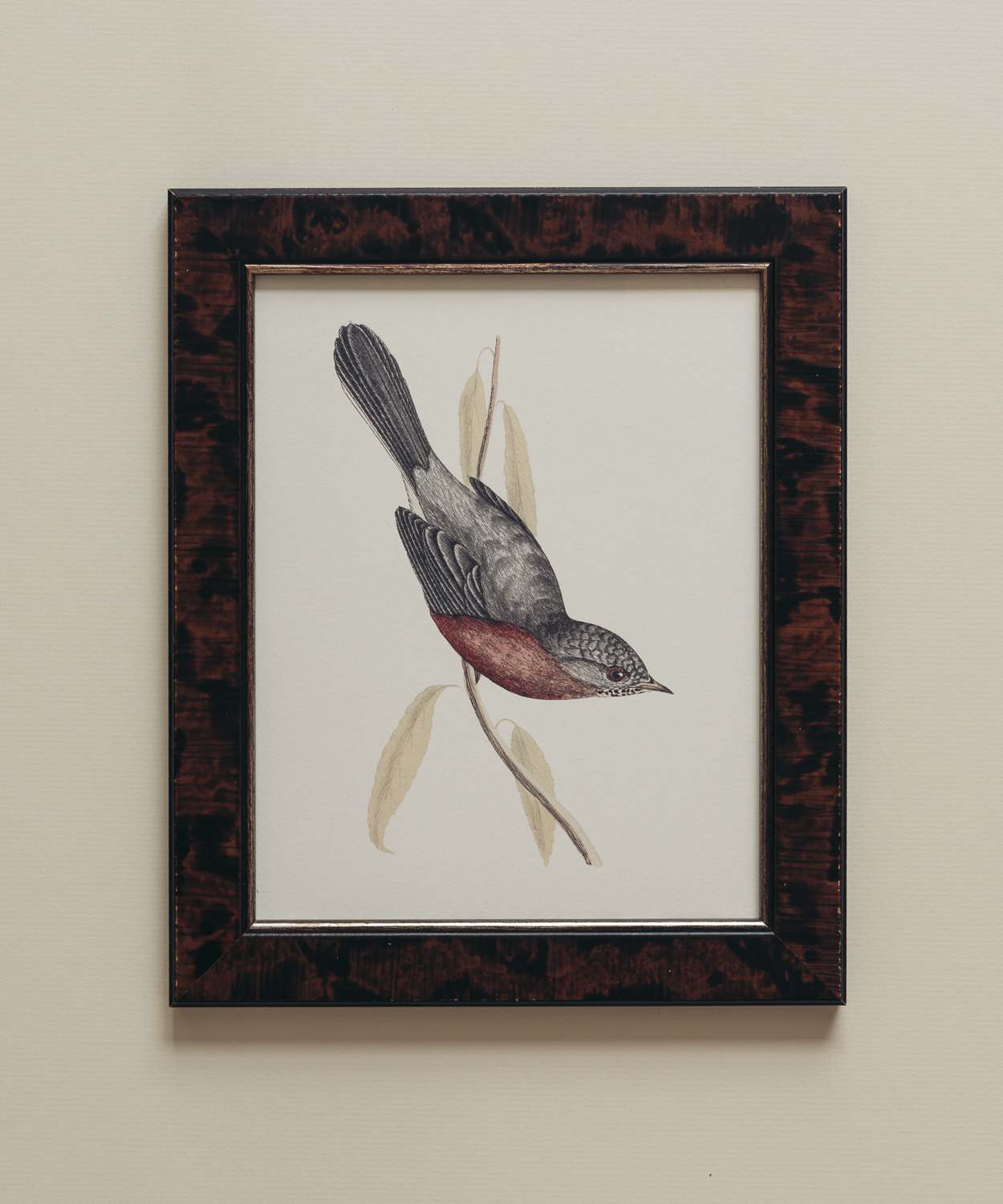 The British Birds Print