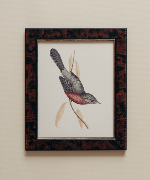 The British Birds Print